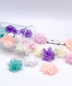 Foto 16.08.18 19 38 52