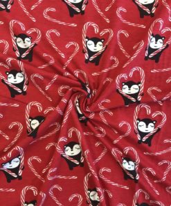 Foto 27.06.19 11 04 48