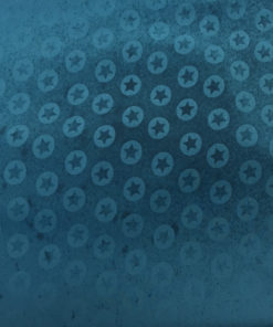 98CDA5D4 9054 44E2 920E 23E8E94A87DF