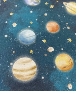 Baumwolljersey  Planteten auf blau