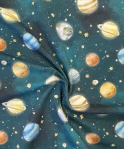 Baumwolljersey  Planteten auf blau